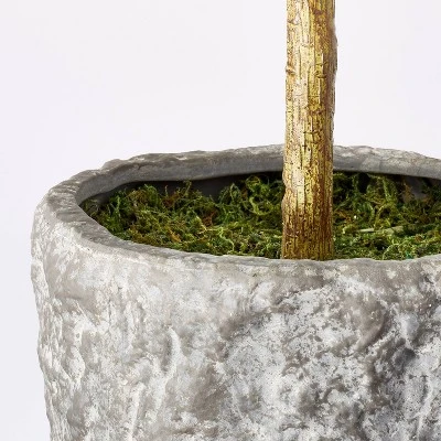 Banyan Tree Potted - Threshold™ Designed With Studio McGee - Image 3