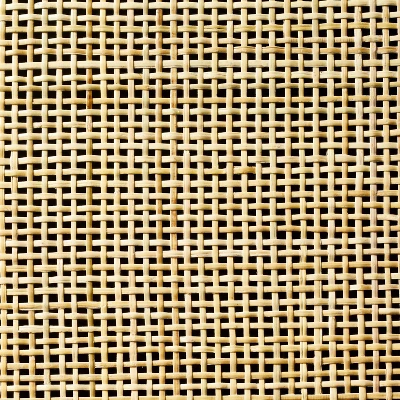 Springville Caned Door TV Stand - Threshold™ Designed With Studio McGee - Image 5